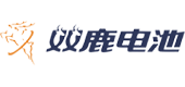 双鹿电池